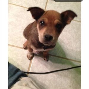 Meet your Posher, Chelsea